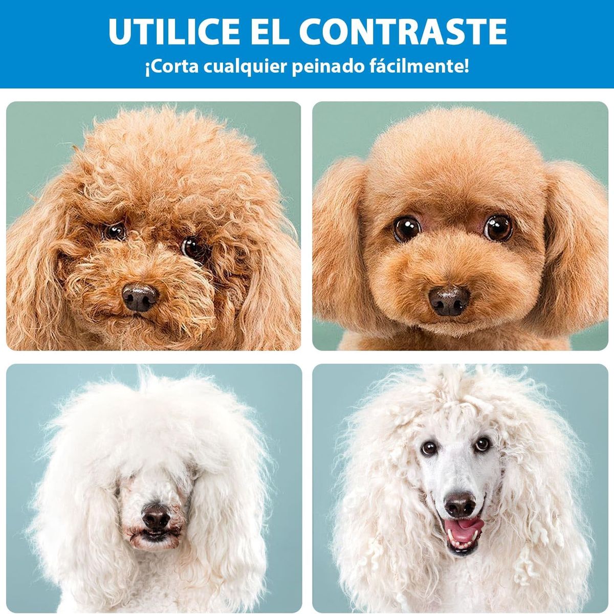 GENERICO - Juego Profesional De Tijeras Para Mascotas Acero Inoxidable
