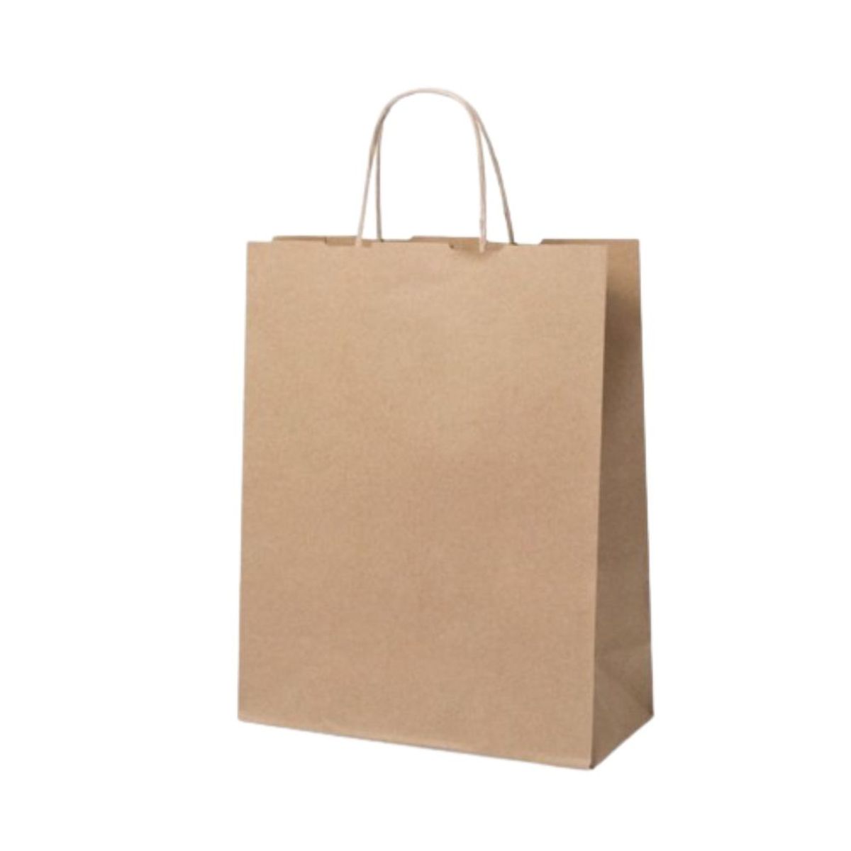 GENERICO - Bolsas de Papel Kraft 22X10X24 por 20 unidades