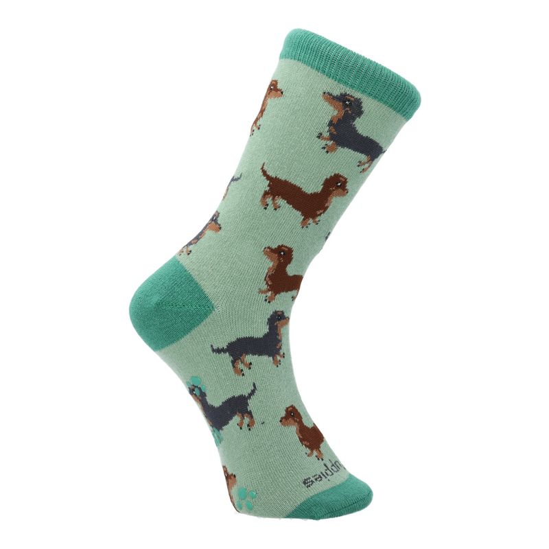 HUSH PUPPIES - Calcetin Algodón Niña C St Libelula Crema HUSH PUPPIES
