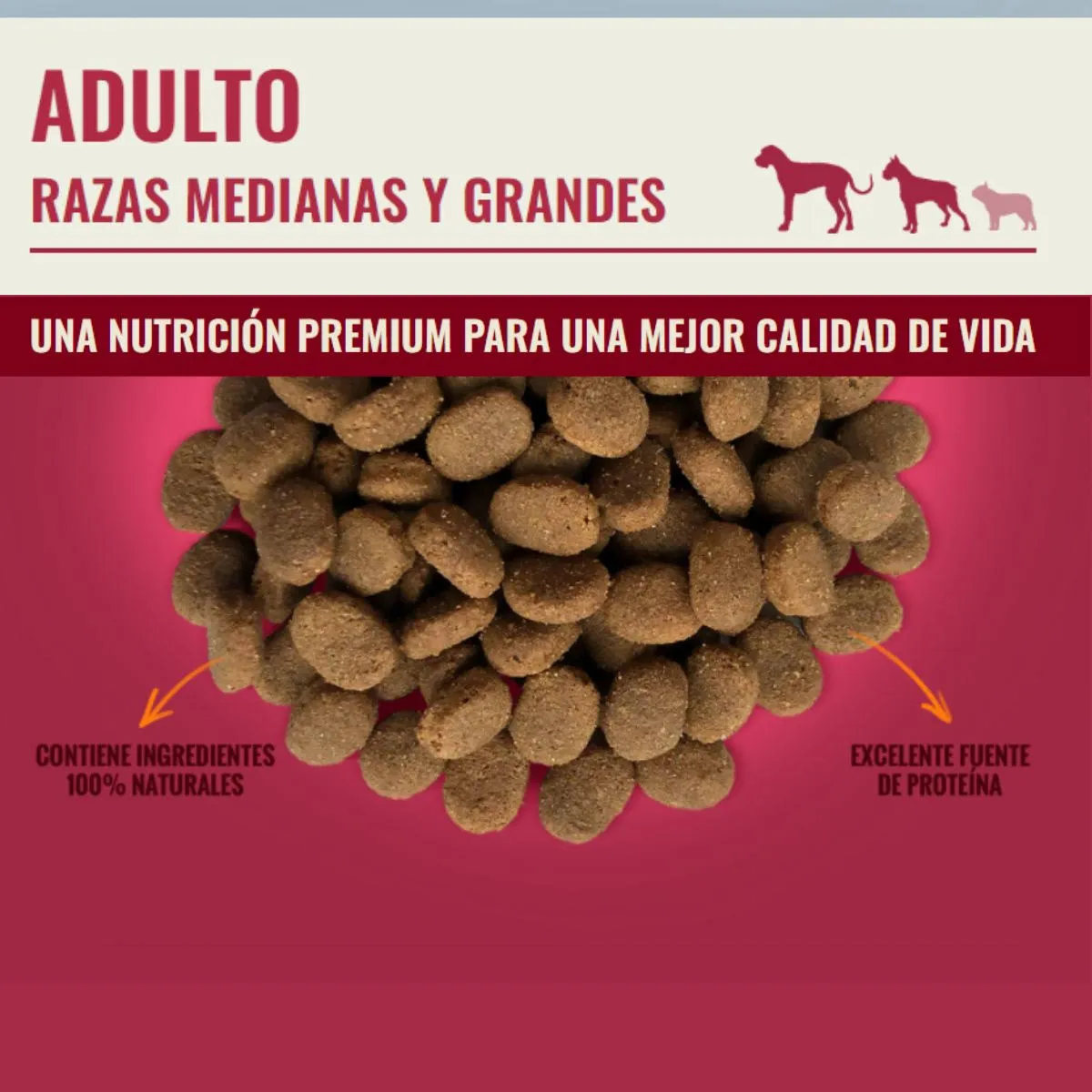 NOMADE - Nomade Alimento Perro Adulto Raza Mediana Grande 20 kg