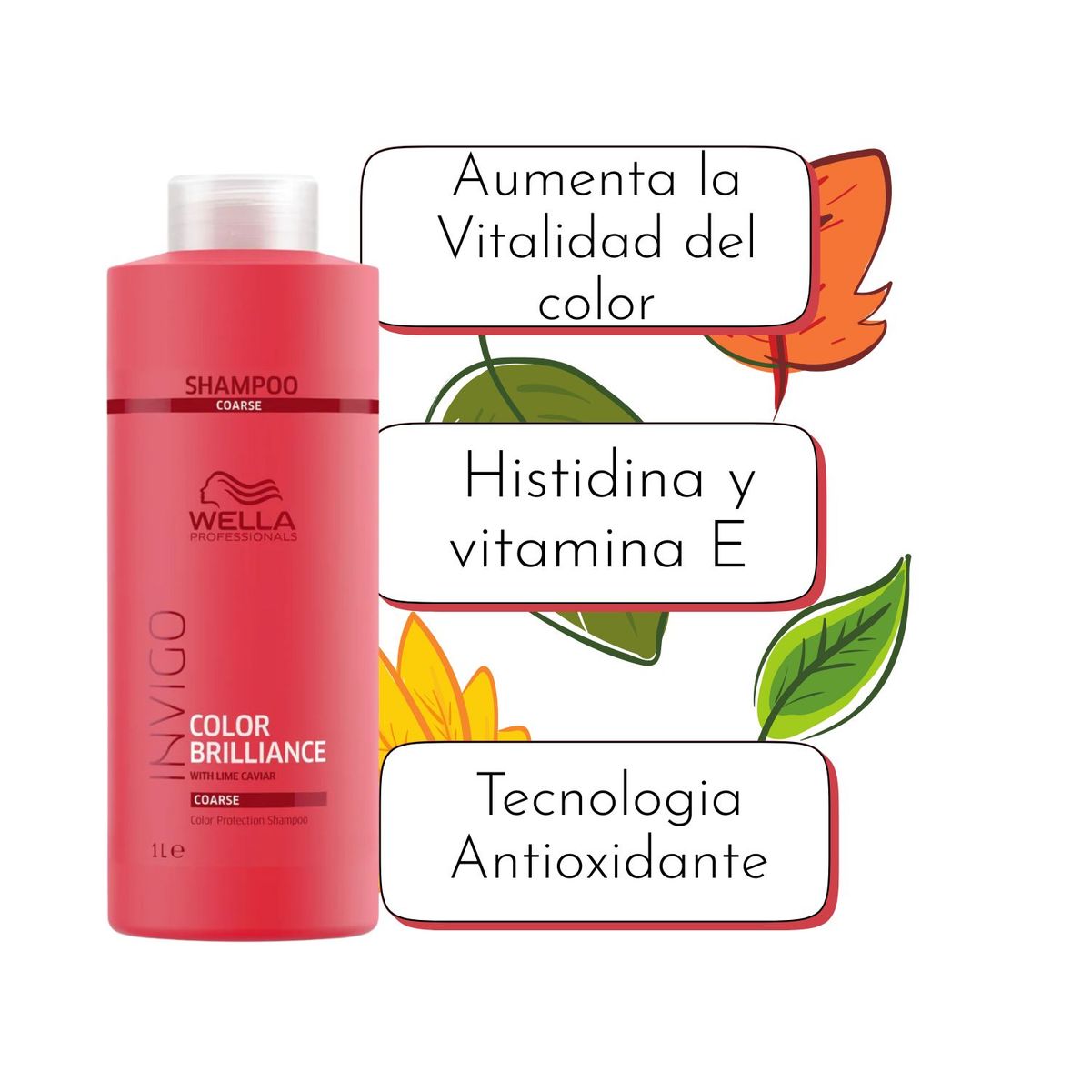 WELLA - Shampoo Wella Invigo Color Brilliance 1000ml Protege el Color Brillo