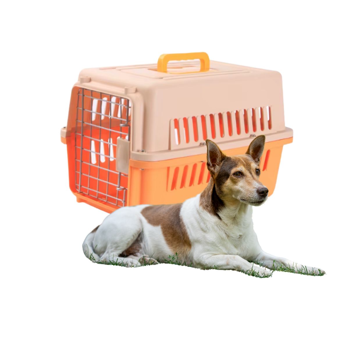 GENERICO - Jaula transportadora perros medianos 66 cm Naranja