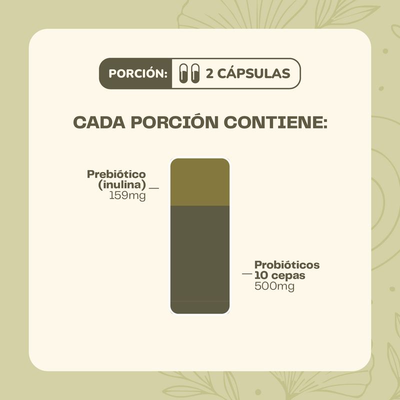 KARUNLIFE - Probiótico Digestivo 60 Cápsulas Karun Life