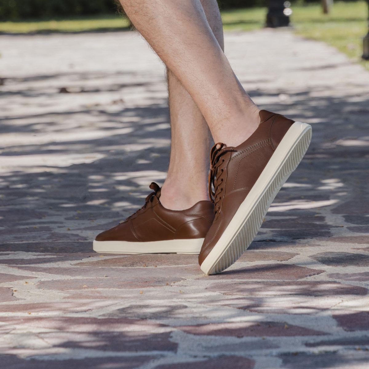 FLEXI - Zapatilla Hombre Creta 412408 Café Flexi