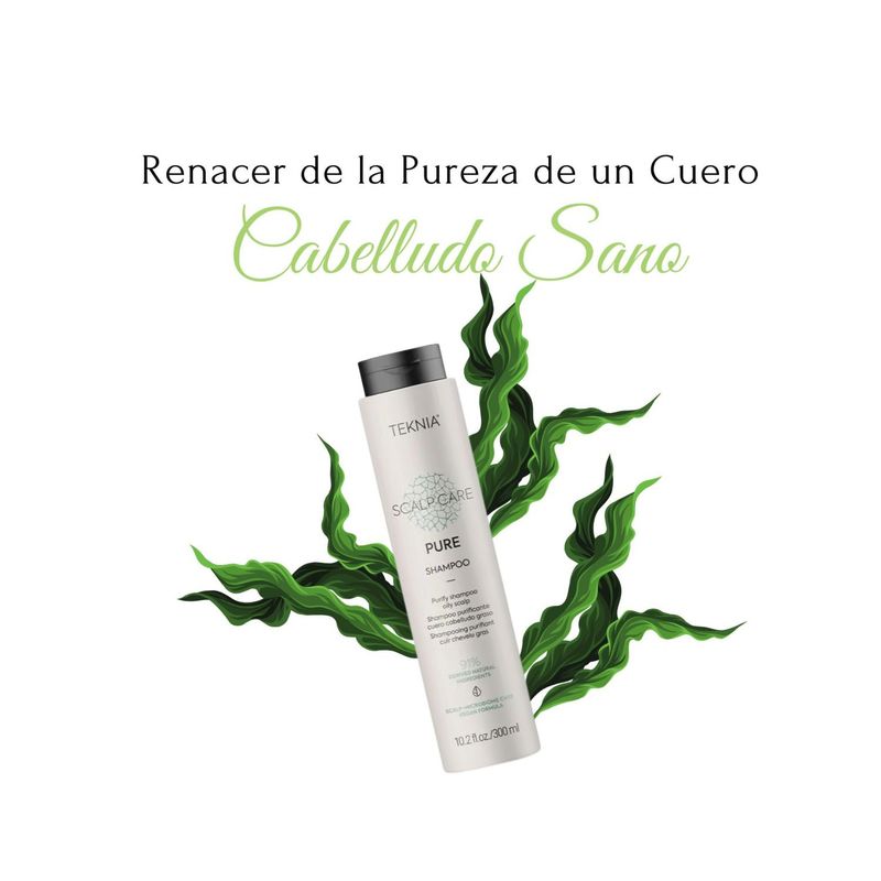 LAKME - Shampoo Lakme 300ml  Teknia Scalp Care Pure Sebo Regulador Purificante
