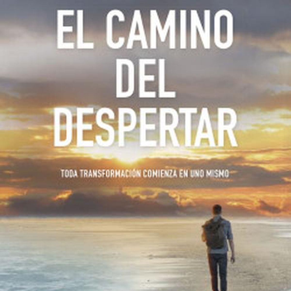 ESPASA - Libro El camino del despertar - Mario Alonso Puig -
