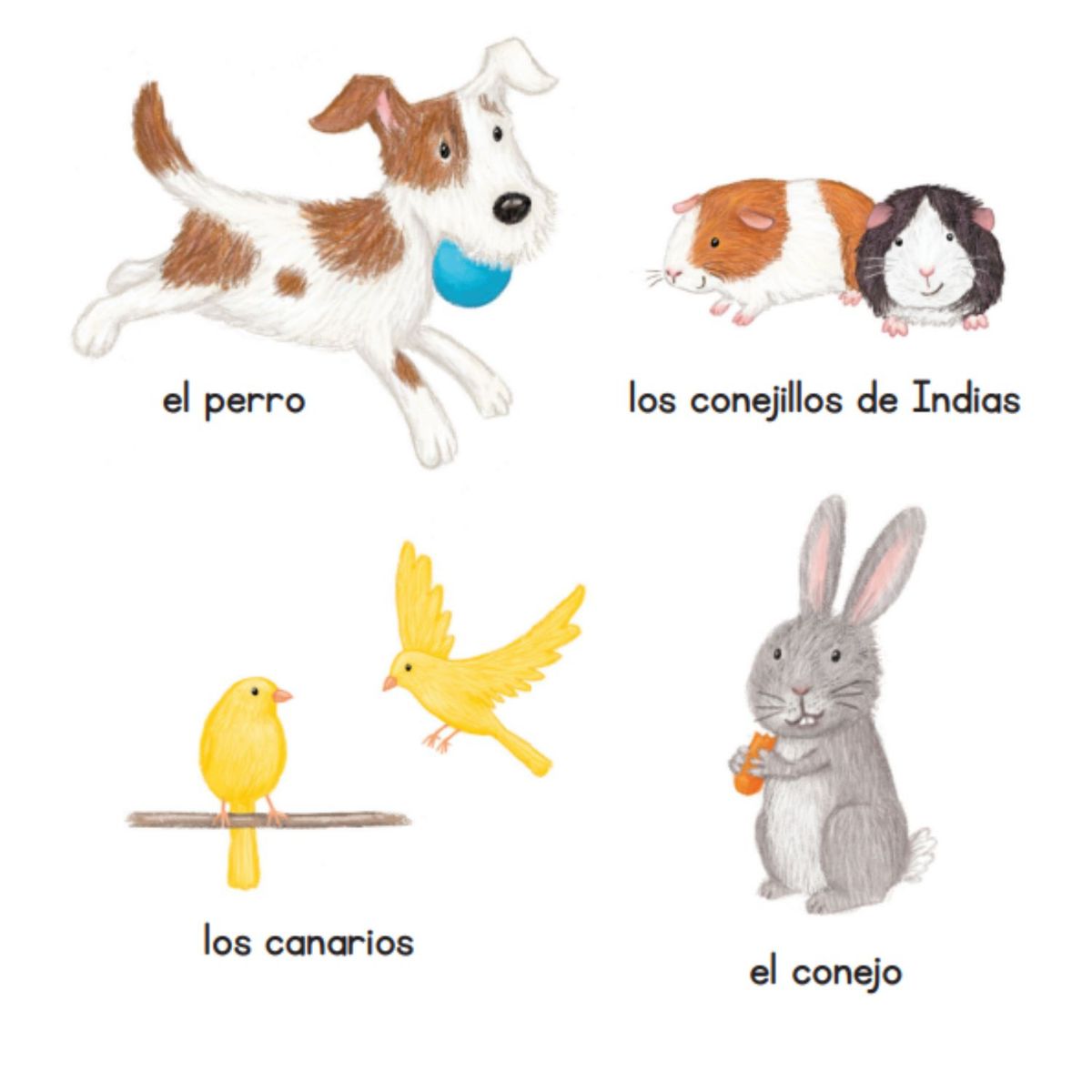 EDICIONES OBELISCO - Con los animales de Editorial Picarona