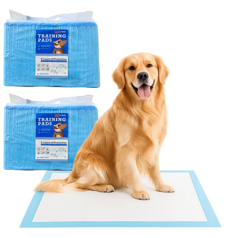 GENERICO - 240 Und Sabanillas Mascotas 60x60 Cm Desechables
