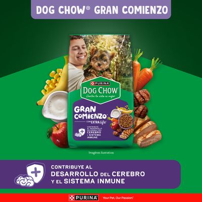 Imagen 2 del producto Alimento seco para perro DOG CHOW® GRAN COMIENZO® Cachorros Minis y Pequeños Carne y Pollo 8kg