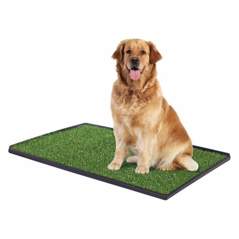 MUNDO ONLINE - Baño Ecologico Mascota Grande Xxl Perro Lavable