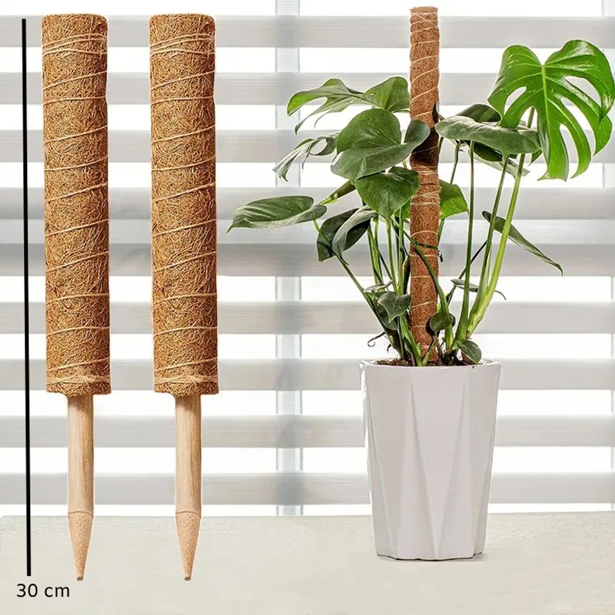GENERICO - Palo De Coco Para Jardinería, Plantas Y Enredaderas 2 und 30cm