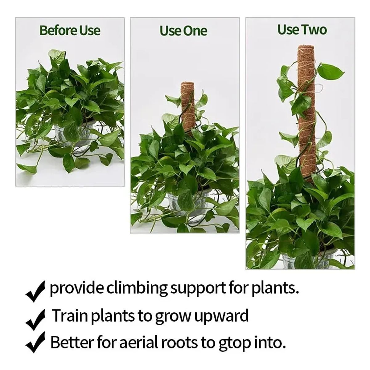 GENERICO - Palo De Coco Para Jardinería, Plantas Y Enredaderas 2 und 30cm