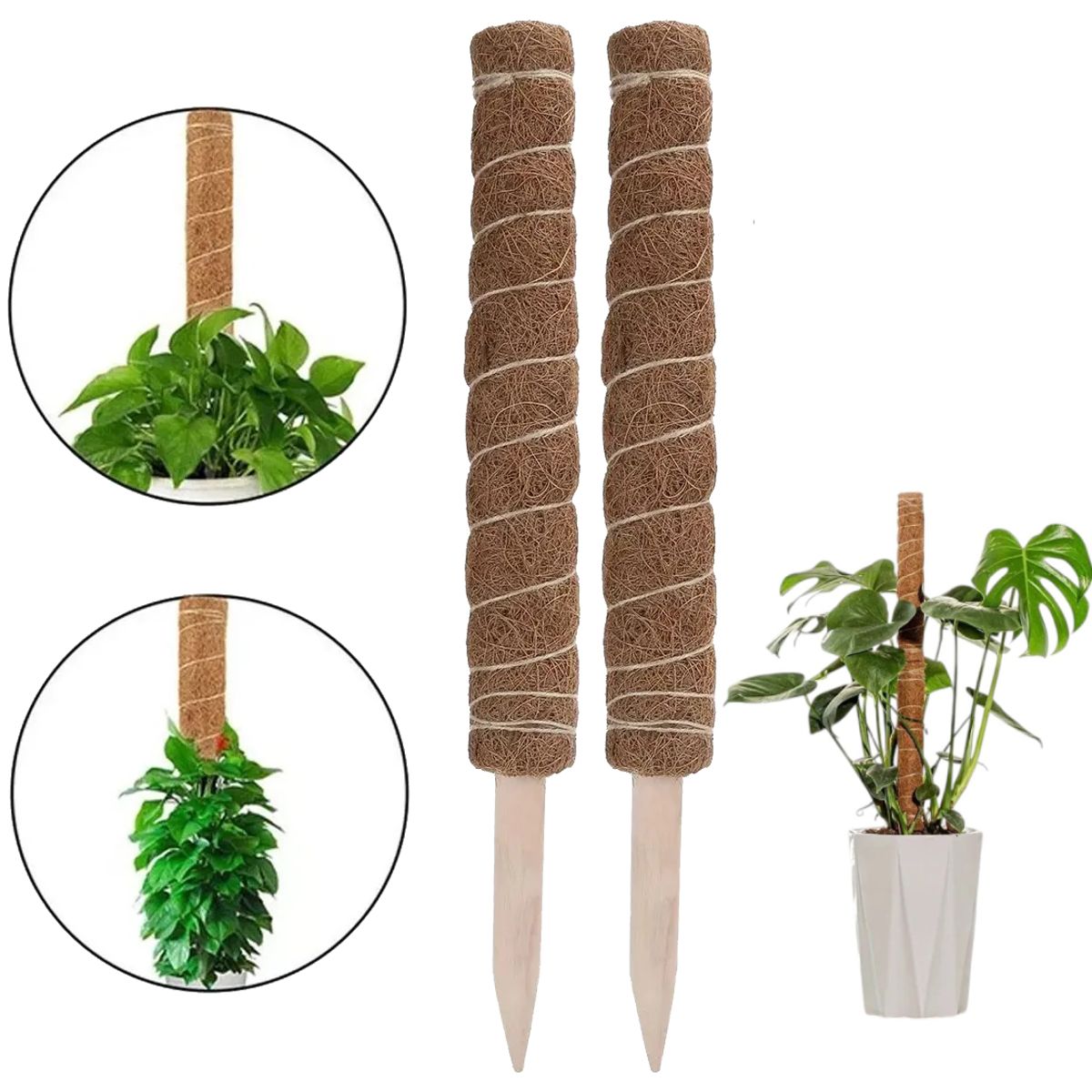 GENERICO - Palo De Coco Para Jardinería, Plantas Y Enredaderas 2 und 40cm