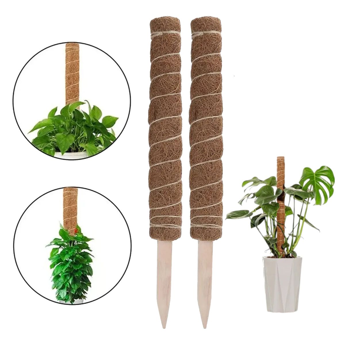 GENERICO - Palo De Coco Para Jardinería, Plantas Y Enredaderas 2 und 40cm