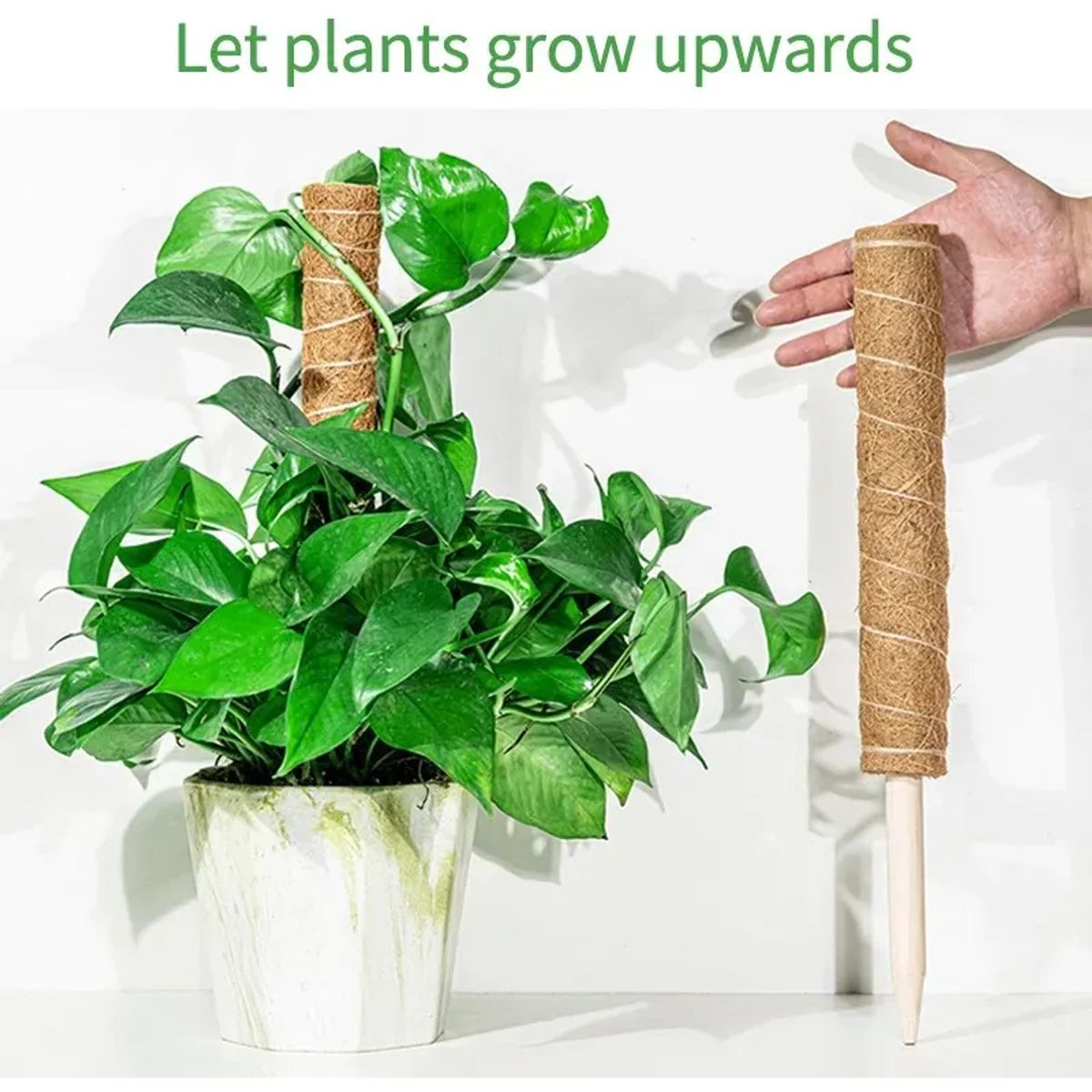 GENERICO - Palo De Coco Para Jardinería, Plantas Y Enredaderas 2 und 40cm