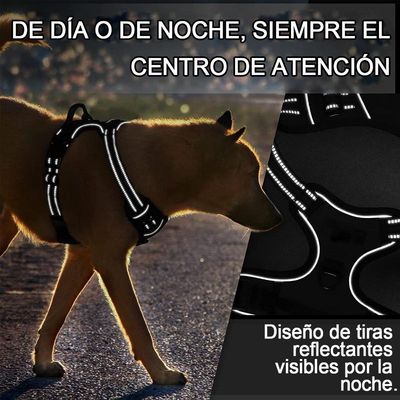 Imagen 2 del producto Arnés Ajustable para Perro con Correa y Bolsas Perfumadas