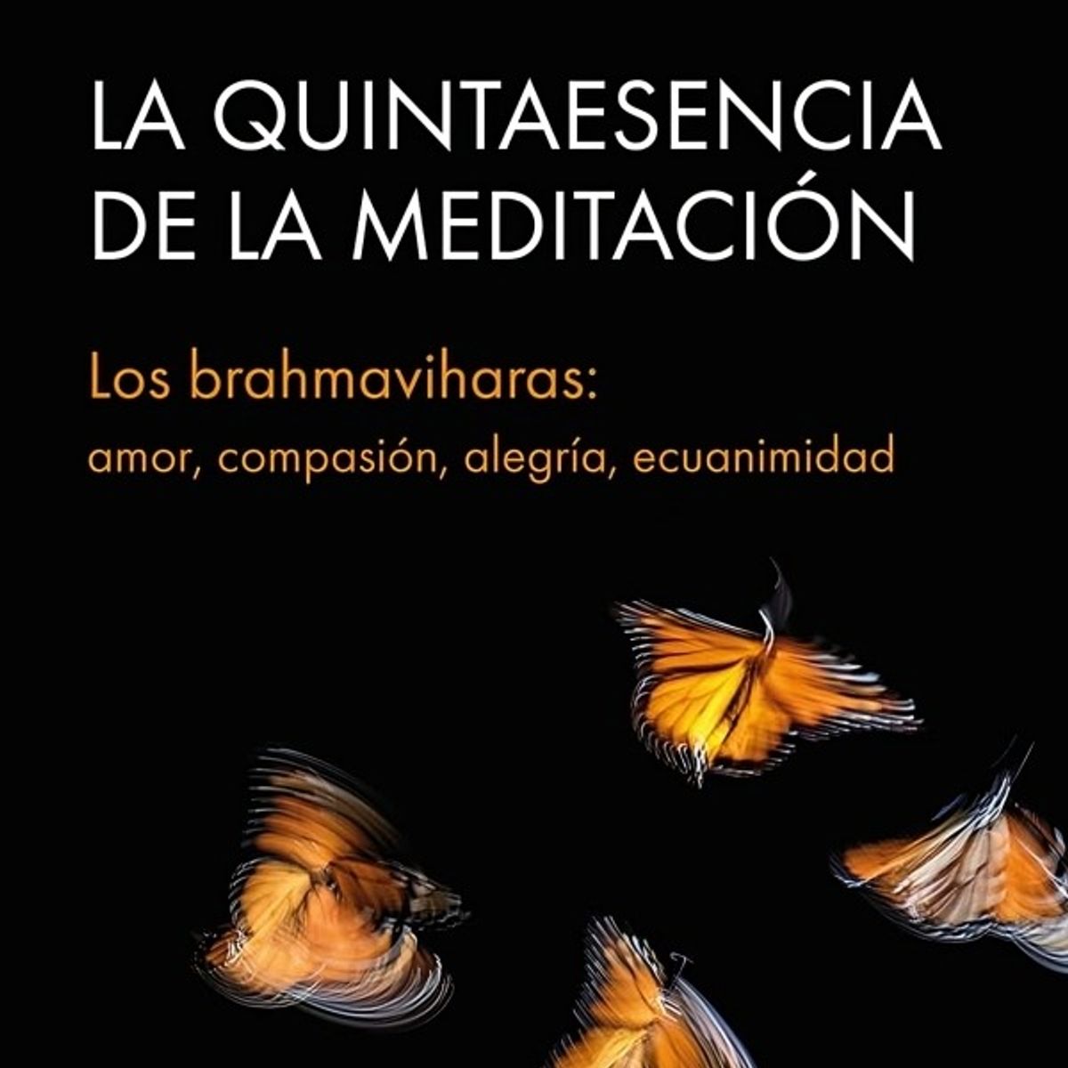 TOP10BOOKS - LIBRO La Quintaesencia De La Meditacion - La Quintaesencia De La Meditacion