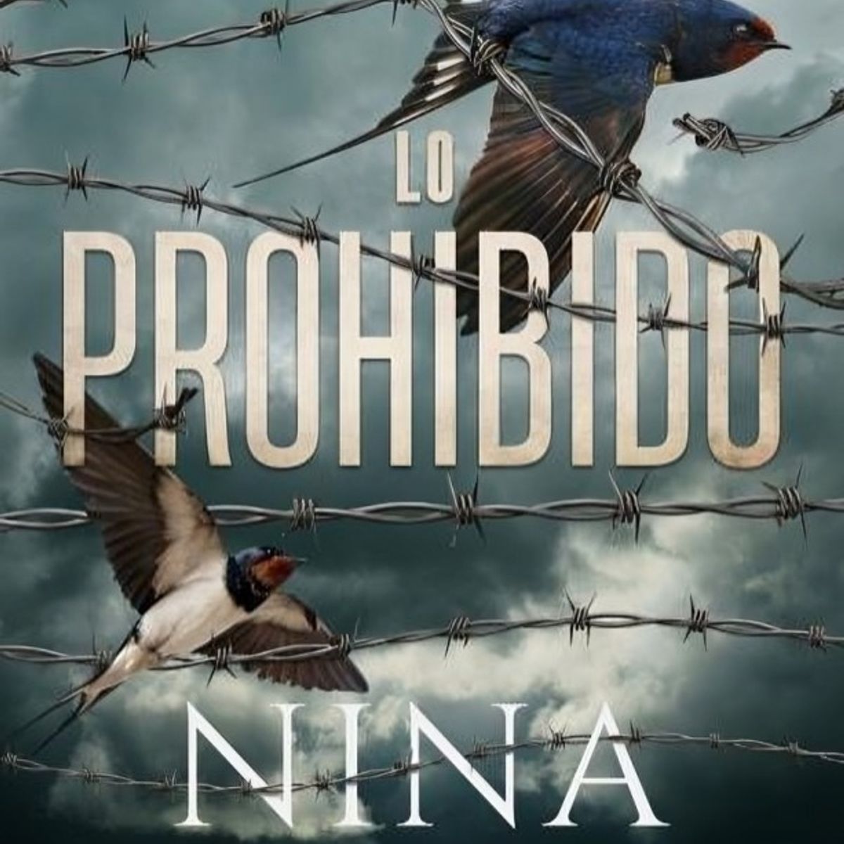 TOP10BOOKS - LIBRO Lo Prohibido - Lo Prohibido