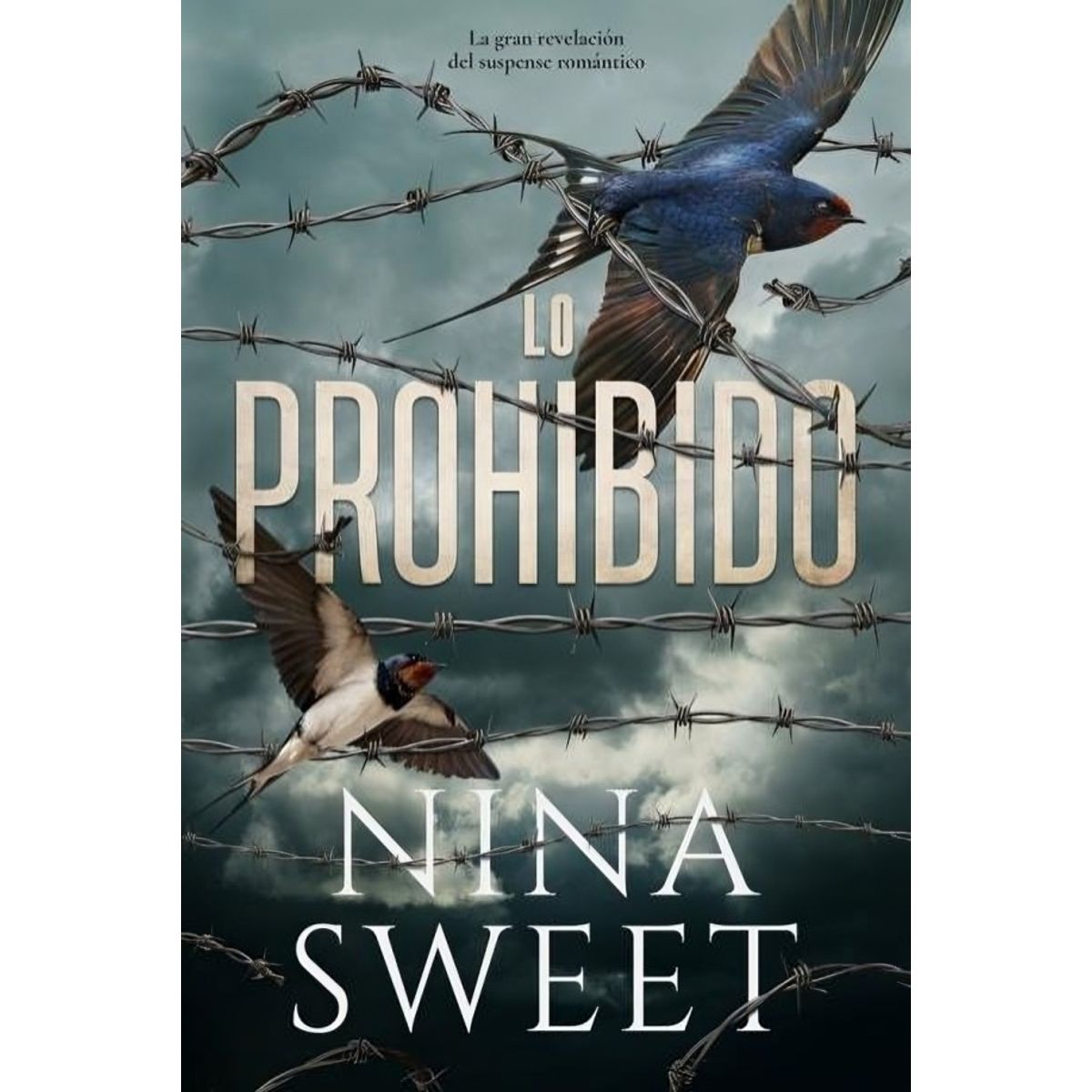 TOP10BOOKS - LIBRO Lo Prohibido - Lo Prohibido