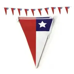 GENERICO - Banderines Guirnaldas Fiestas Patrias Chilenas 5m