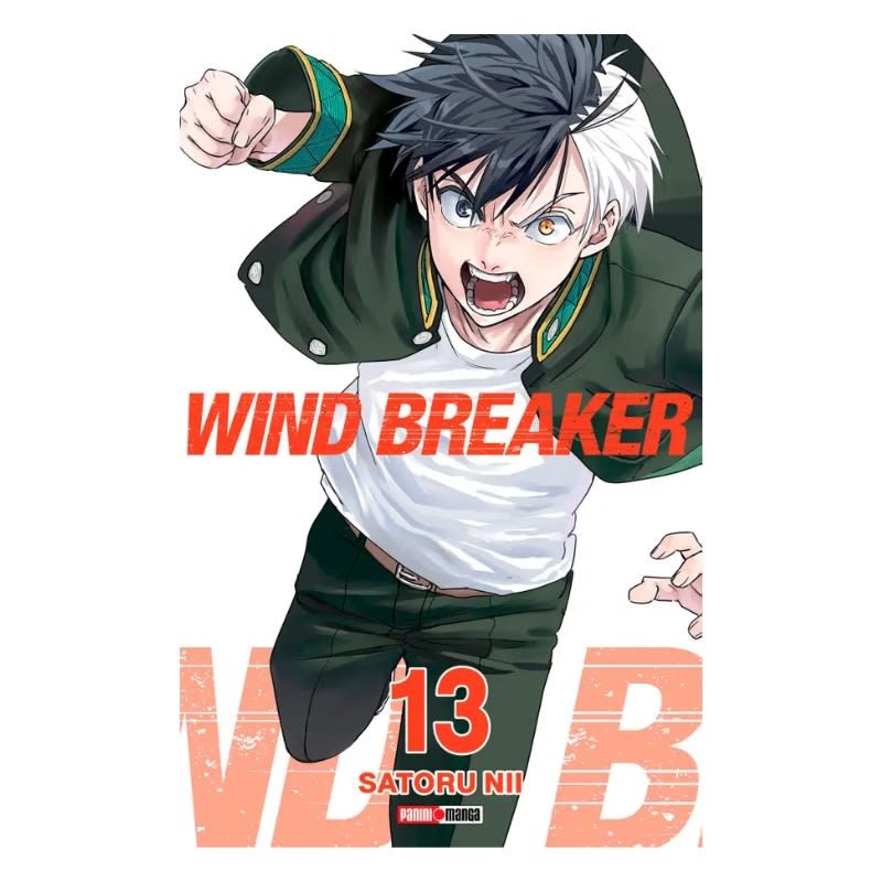 PANINI EDICIONES - Wind Breaker 13 - Panini Ar