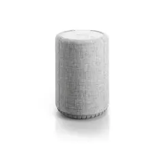 AUDIO PRO - Parlante Wi-Fi y Bluetooth A10 Gris