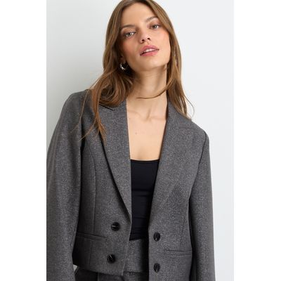 Imagen 2 del producto Blazer Mujer Gris
