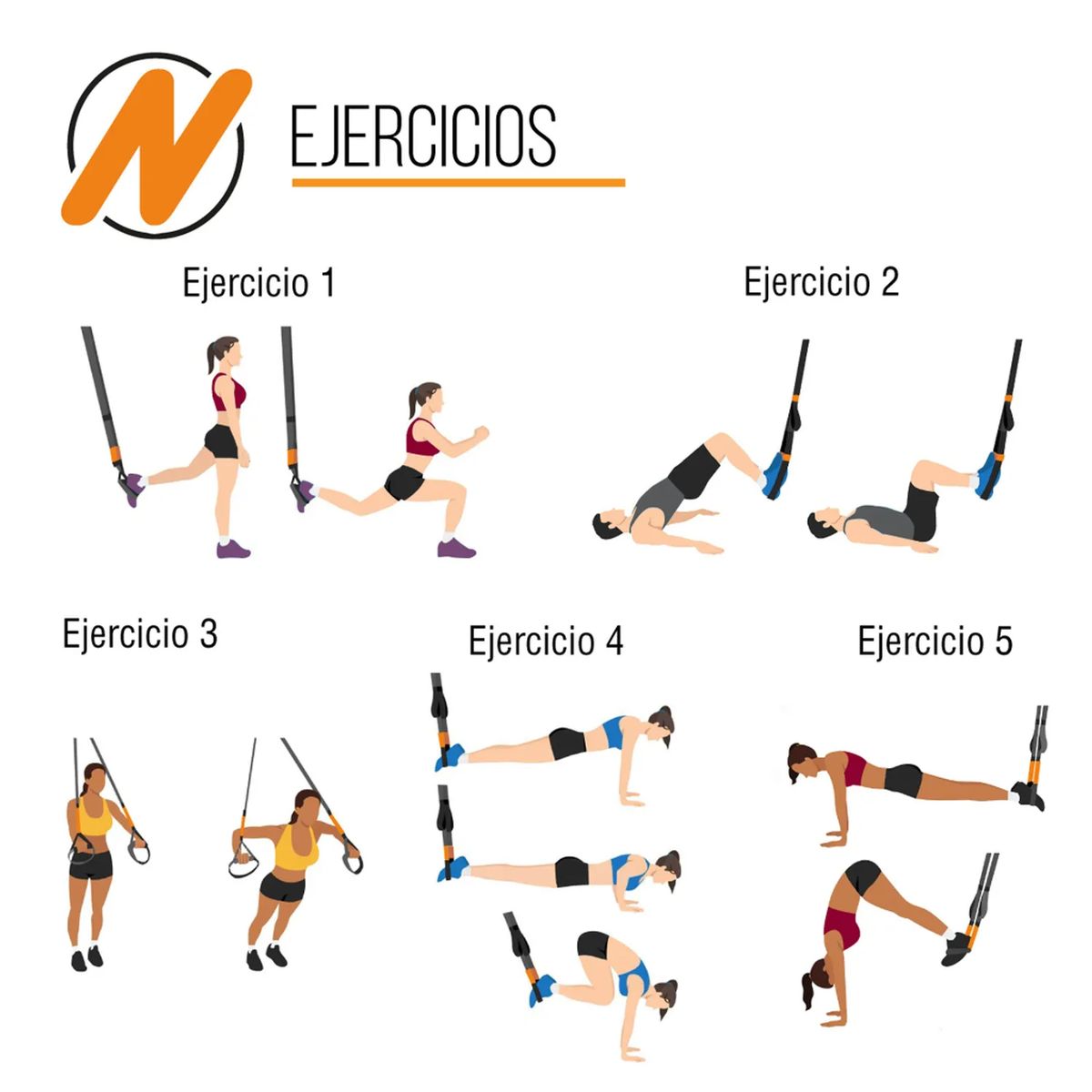 MOVI - BANDA DE ENTRENAMIENTO EN SUSPENCION TRX