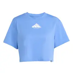 ADIDAS - Polera Graphic CLIMACOOL Vintage de Entrenamiento