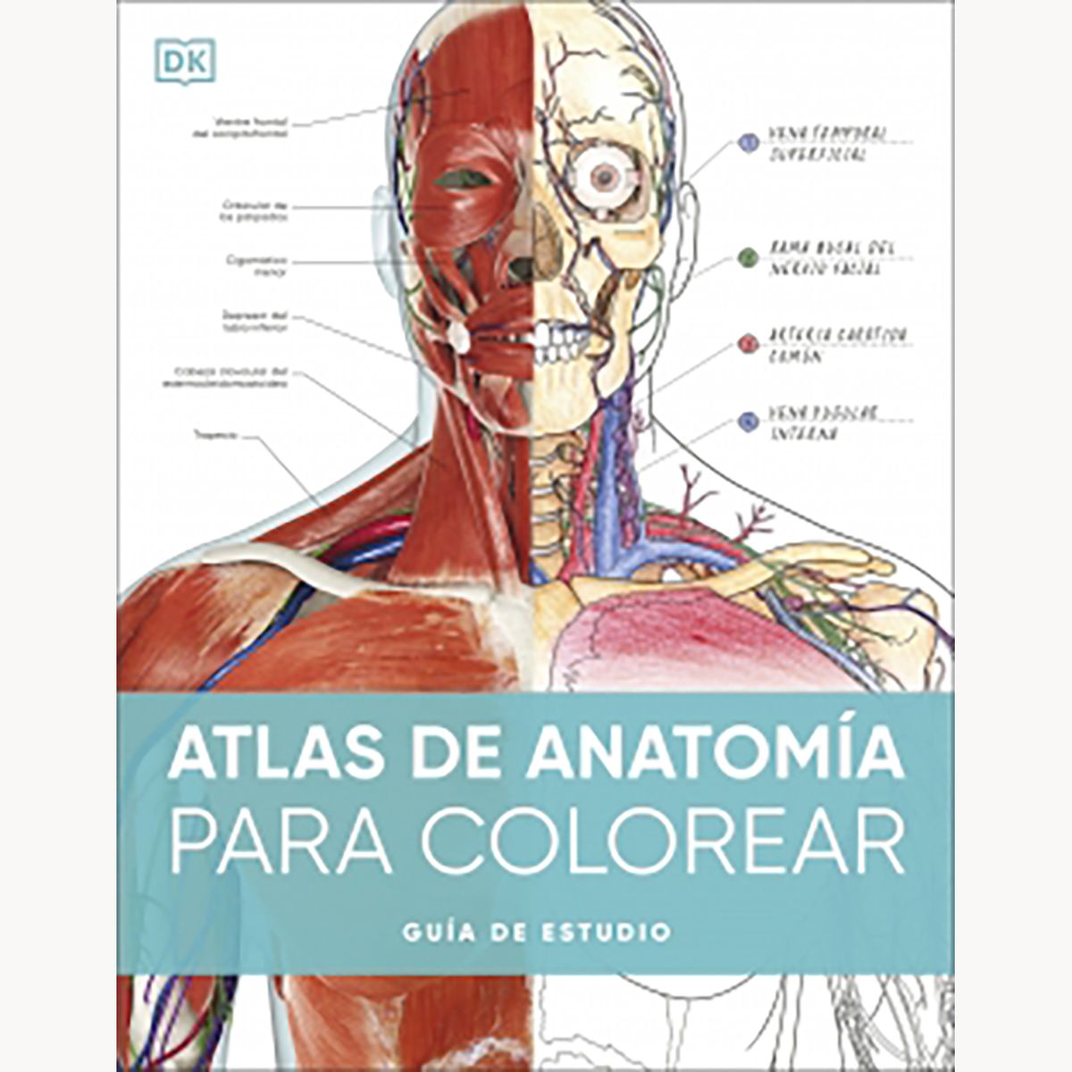 PENGUIN RANDOM HOUSE - Libro Atlas De Anatomia Para Colorear