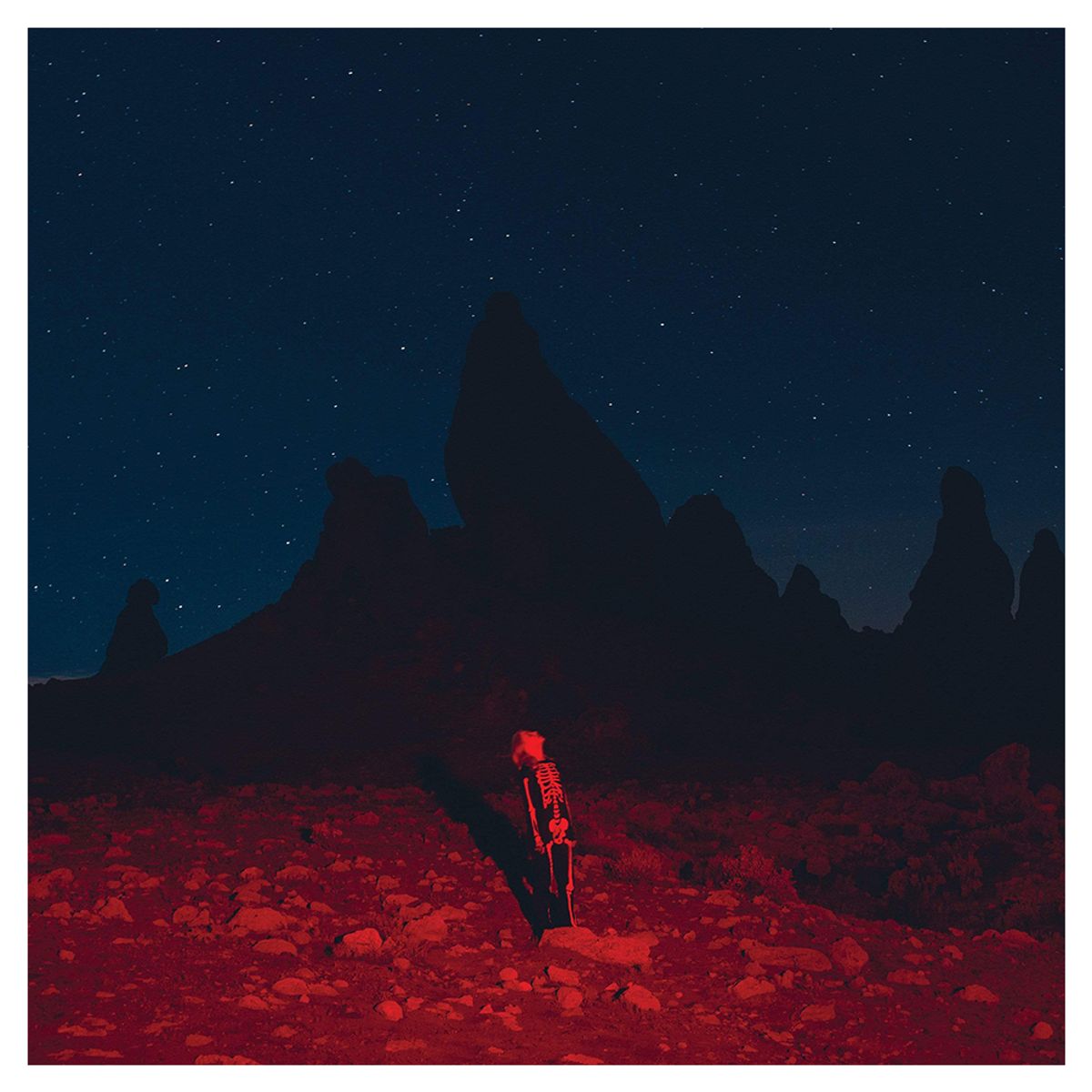 GENERICO - Phoebe Bridgers -Punisher- Vinilo