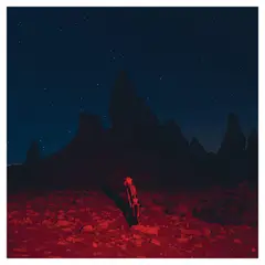 GENERICO - Phoebe Bridgers -Punisher- Vinilo