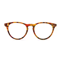 GENERICO - LENTES DE LECTURA WAR LAKE TORTOISE BLUE
