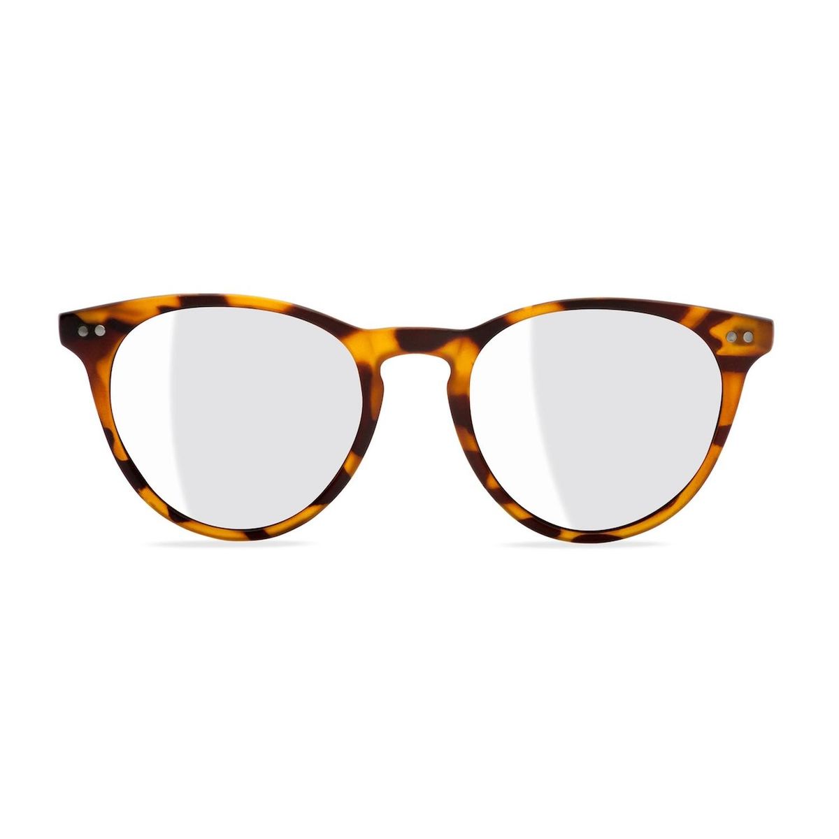 GENERICO - LENTES DE LECTURA WAR LAKE TORTOISE 10
