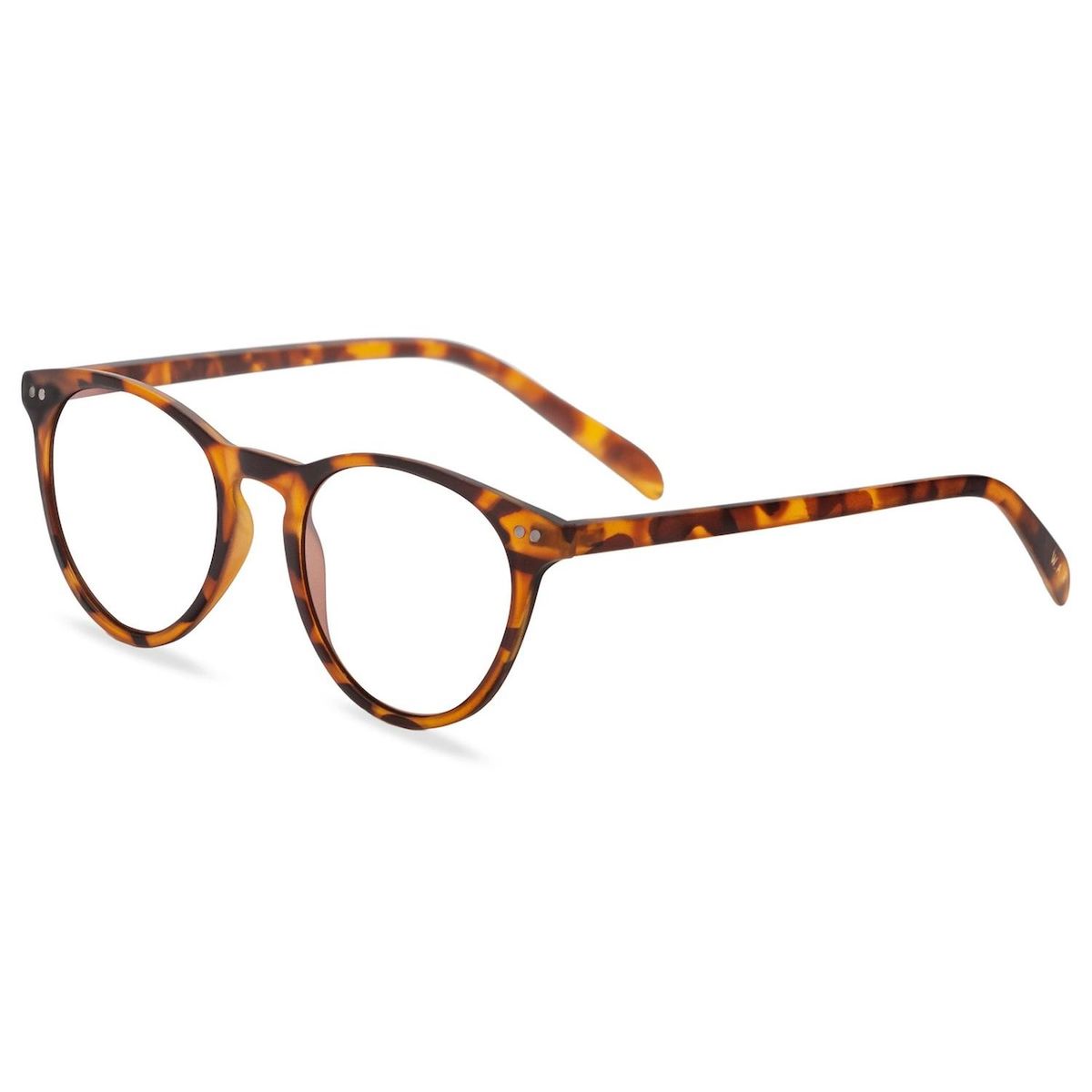 GENERICO - LENTES DE LECTURA WAR LAKE TORTOISE 10