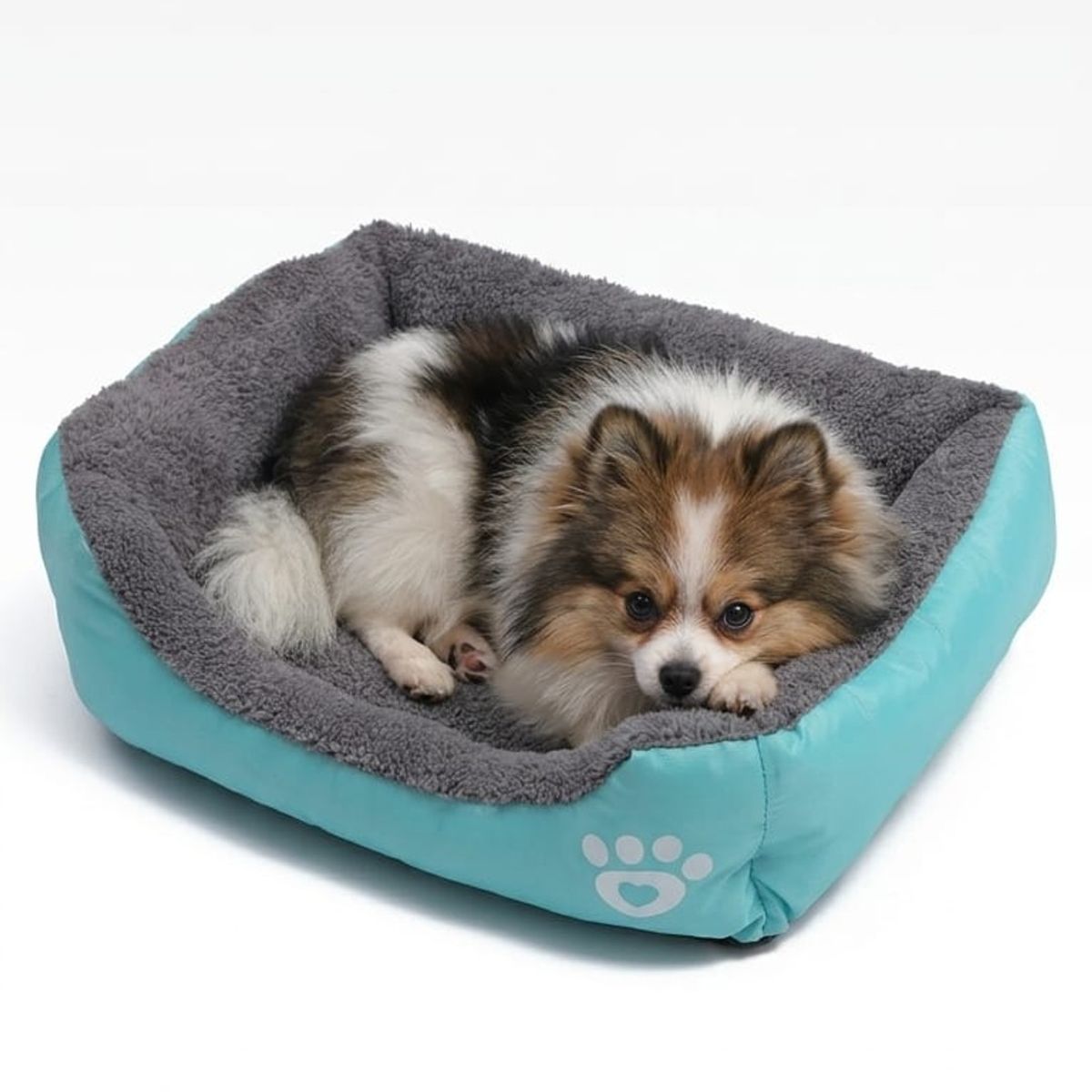 MASCO TODO - Cama Ultrasuave para mascotas Color Turquesa Talla XL