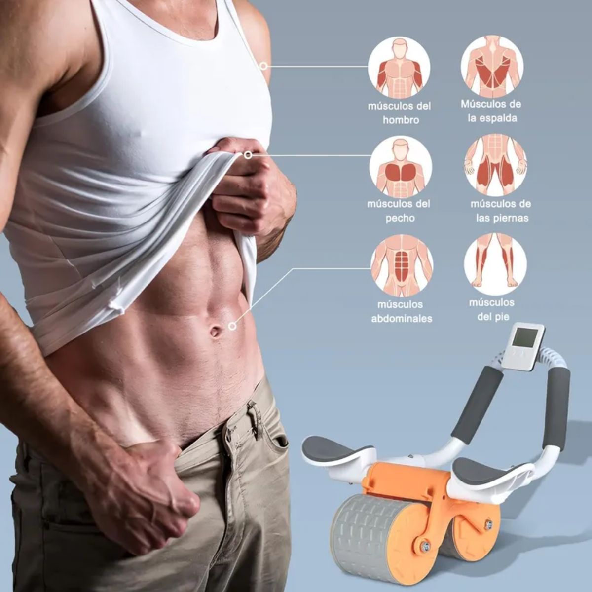 MOVI - RUEDA ABDOMINAL