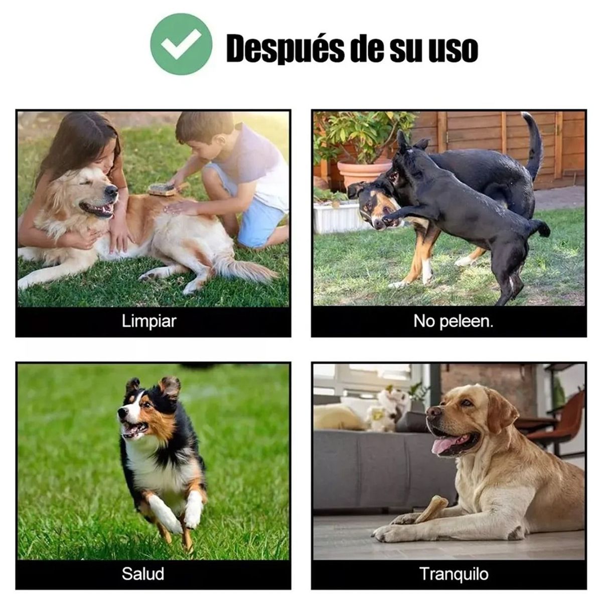 MUNDO MAGIA - Corral Para Mascotas Jaula De Perros Gato Valla 6paneles