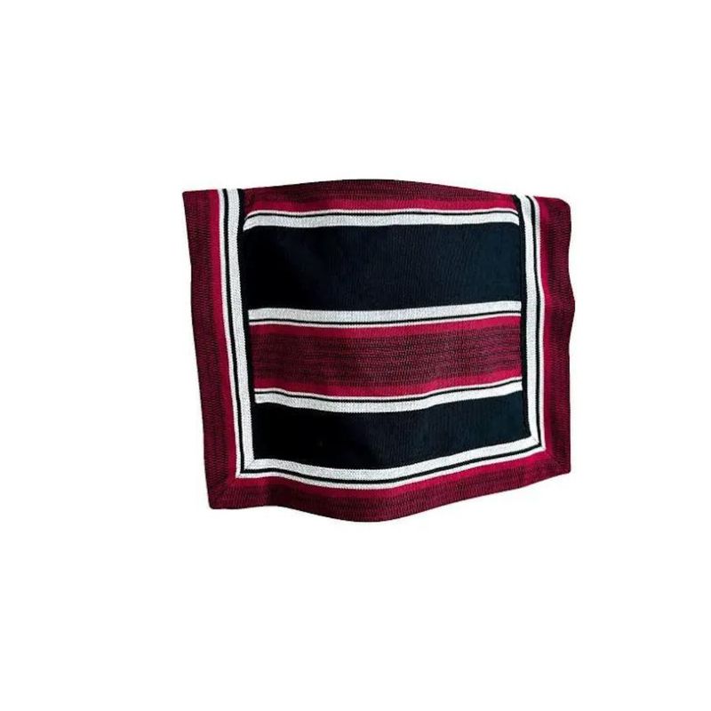 GENERICO - Manta Poncho Niño Huaso Cueca Fiestas Patrias