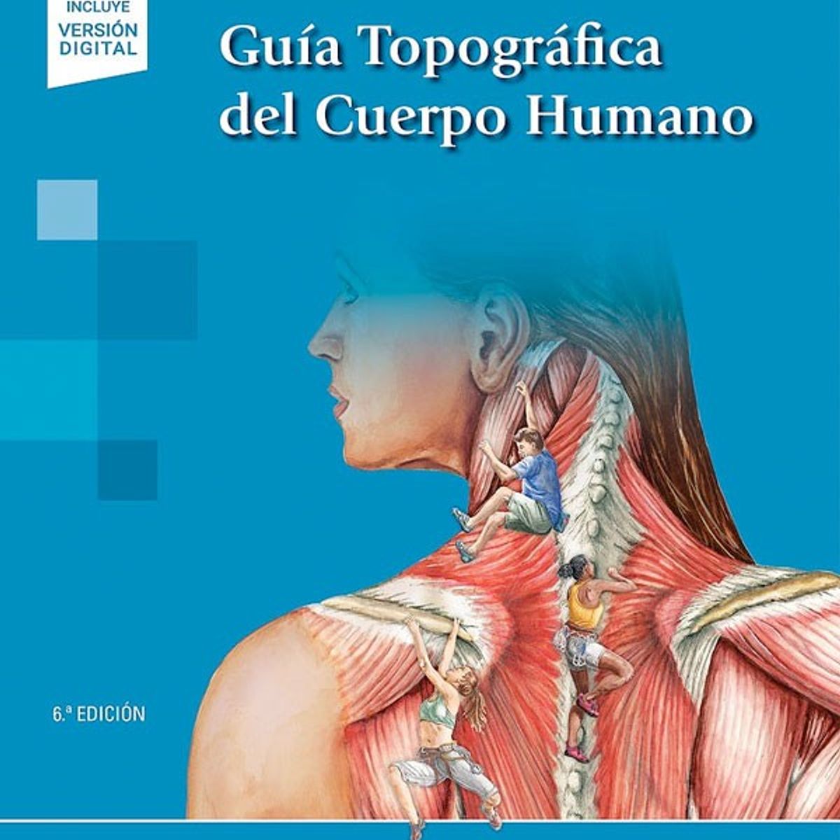 EDITORIAL MEDITERRANEO - Libro Guía Topográfica Del Cuerpo Humano 6Ed.
