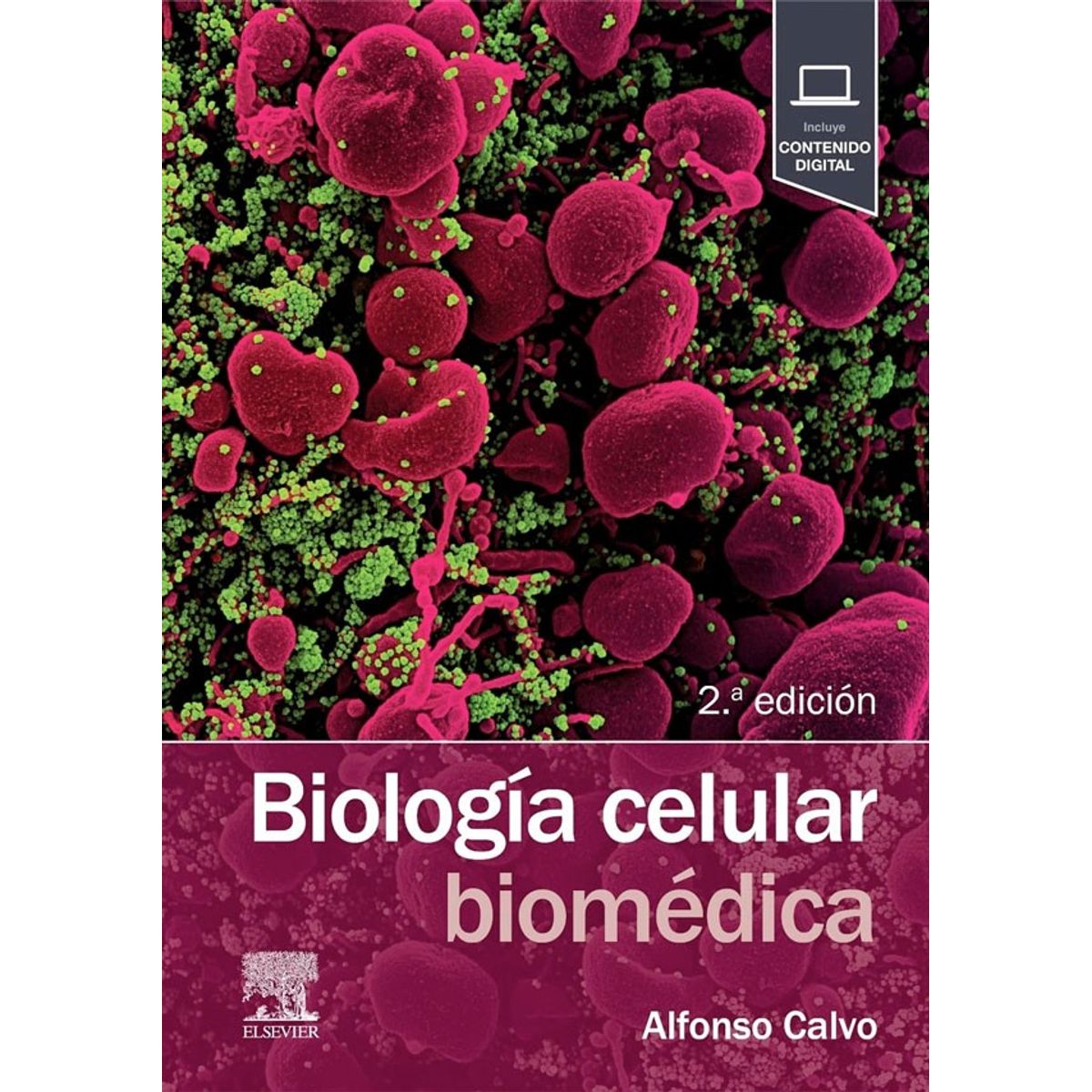 EDITORIAL MEDITERRANEO - Libro Biología Celular Biomédica 2Ed.