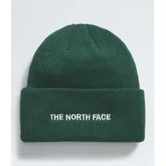 THE NORTH FACE - Gorro Urban Embroidered Unisex Verde
