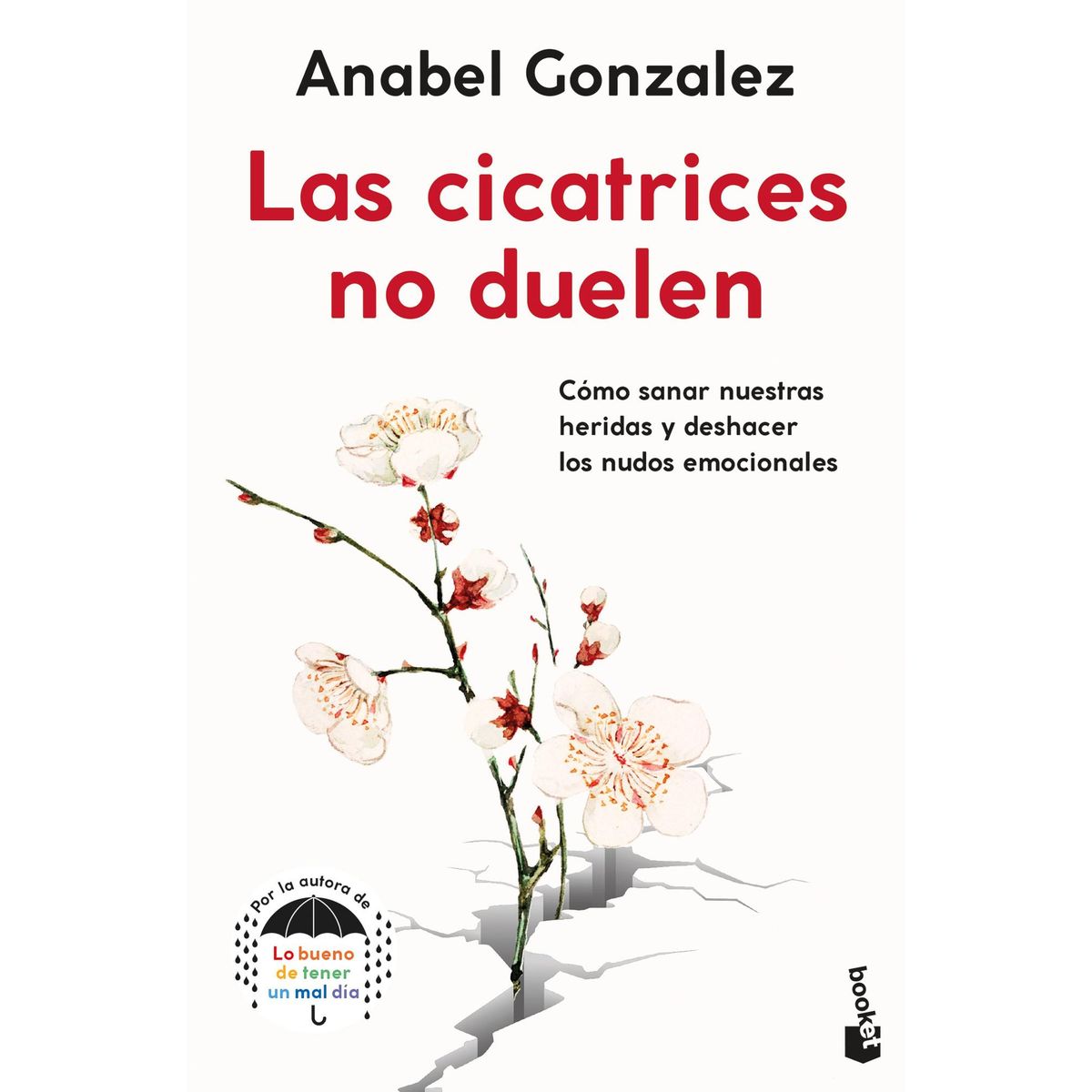 BOOKET - Libro Las cicatrices no duelen - Anabel Gonzalez