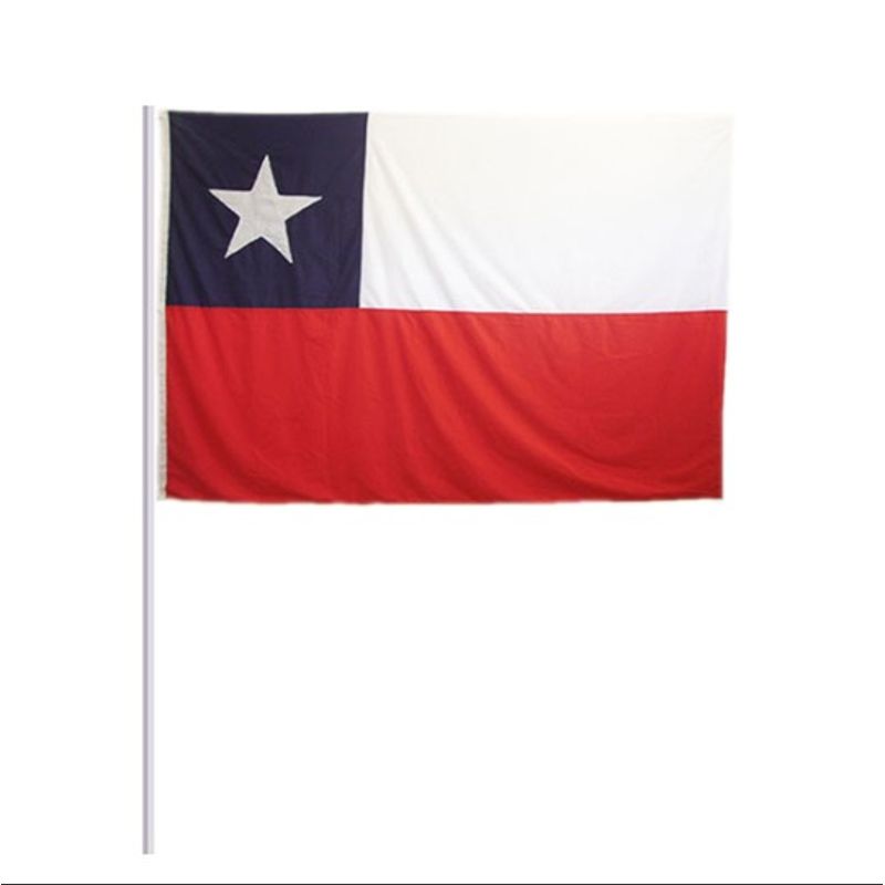 GENERICO - Bandera Chile 30X45 cm Palito Fiestas Patrias X12und