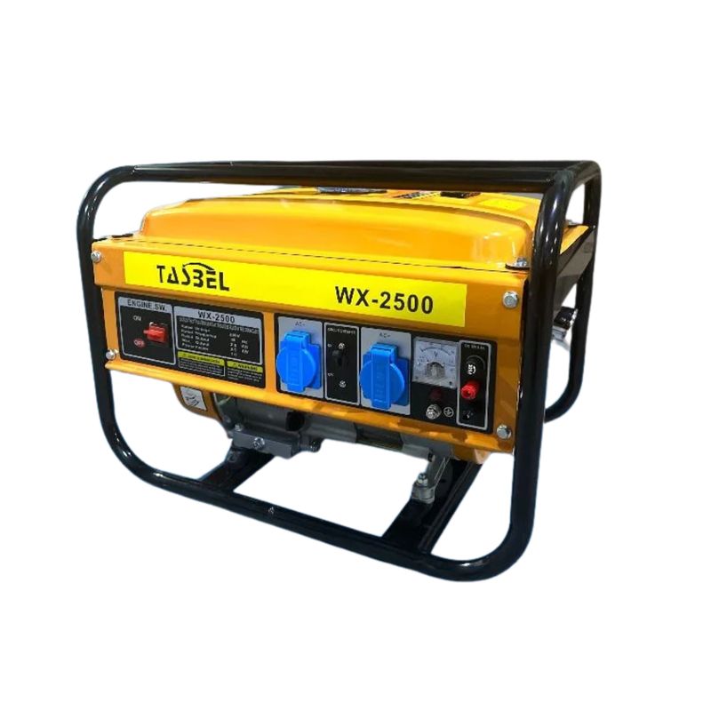 IMPORTCLICK - Generador Electrico Manual Combustible Tasbel Watt