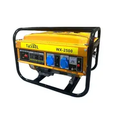 IMPORTCLICK - Generador Electrico Manual Combustible Tasbel Watt
