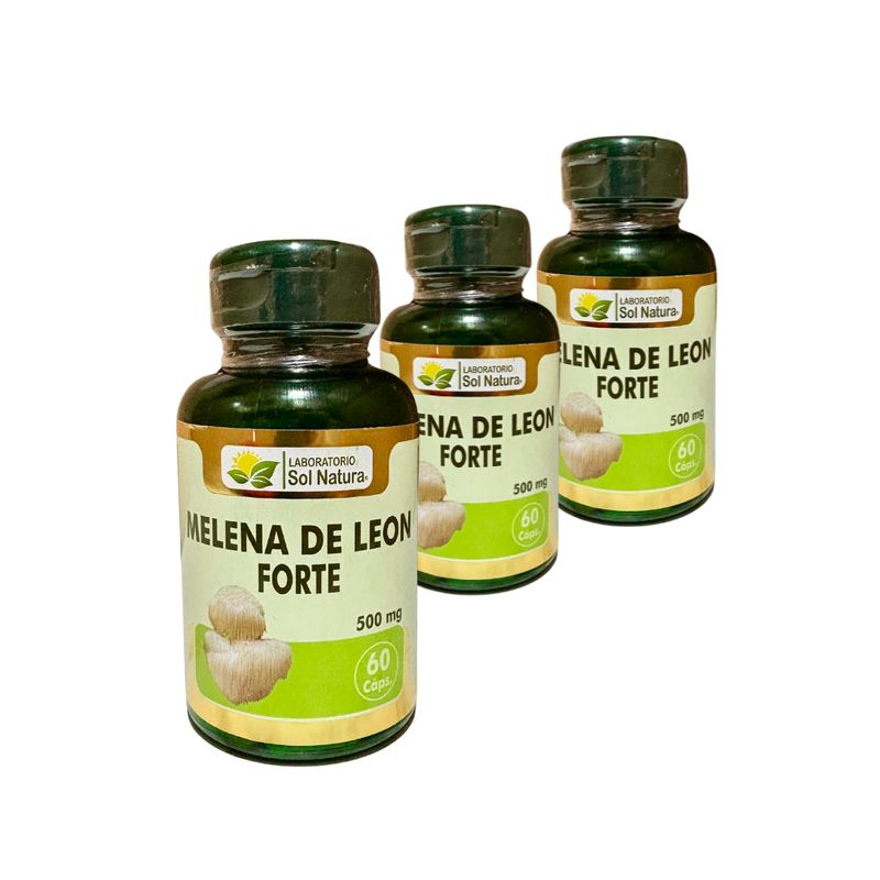 GENERICO - Melena de león + Vitamina C 180 caps de 500 mg / Memoria