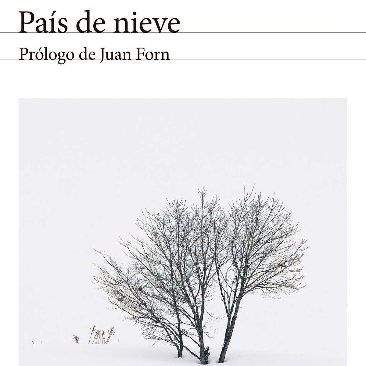 SEIX BARRAL - Libro País de nieve. Edición 2024 - Yasunari Kawabata