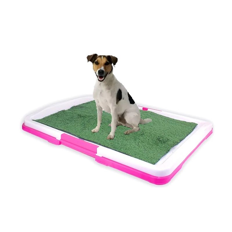 GENERICO - Baño Educador Ecológico XL para perros y mascotas Rosado