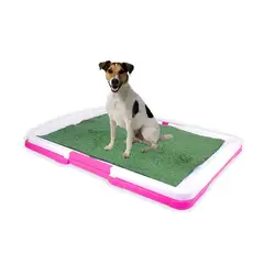 GENERICO - Baño Educador Ecológico XL para perros y mascotas Rosado